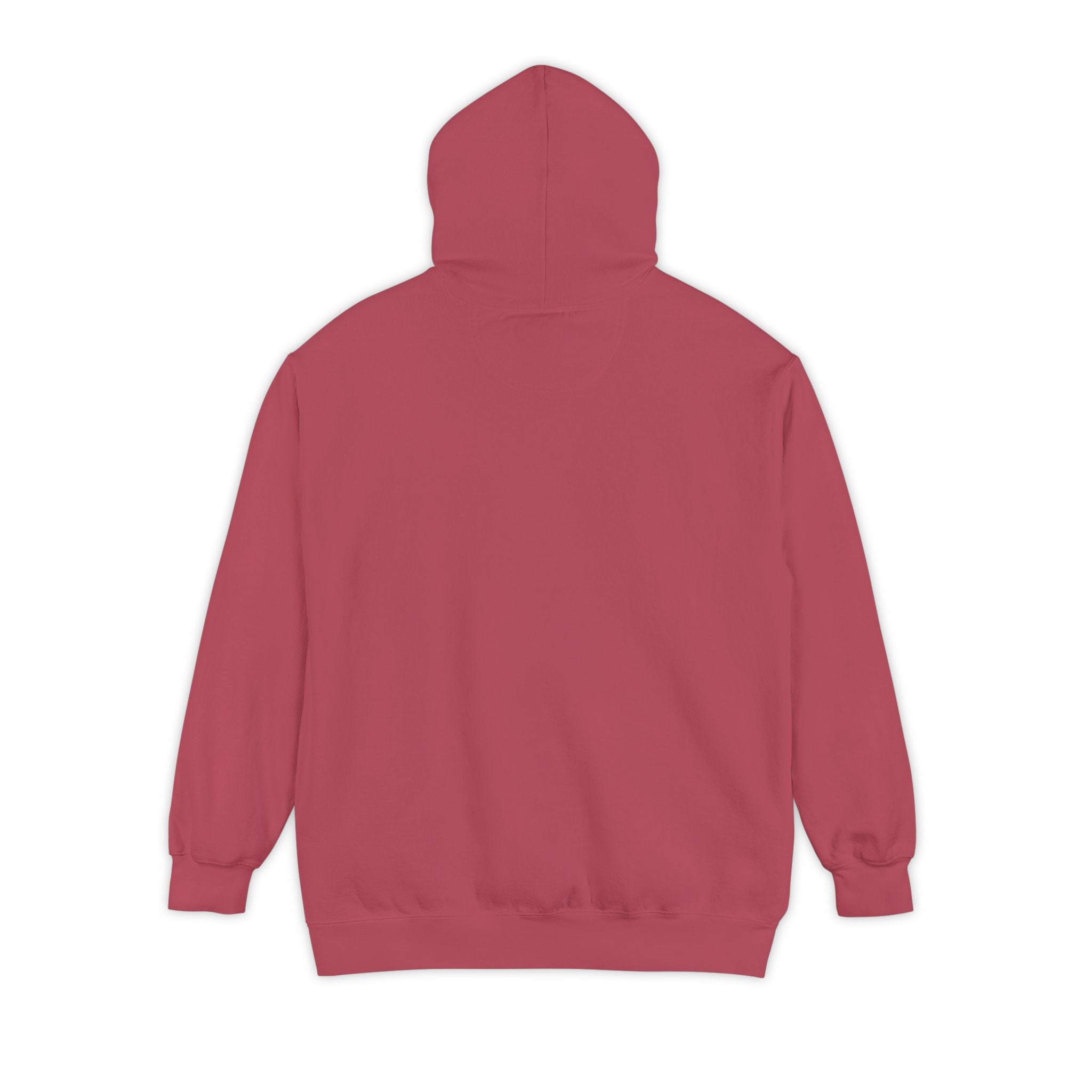 Hoodie — Red Heart "You Are Literally The Only Person I Like" Valentine Pullover