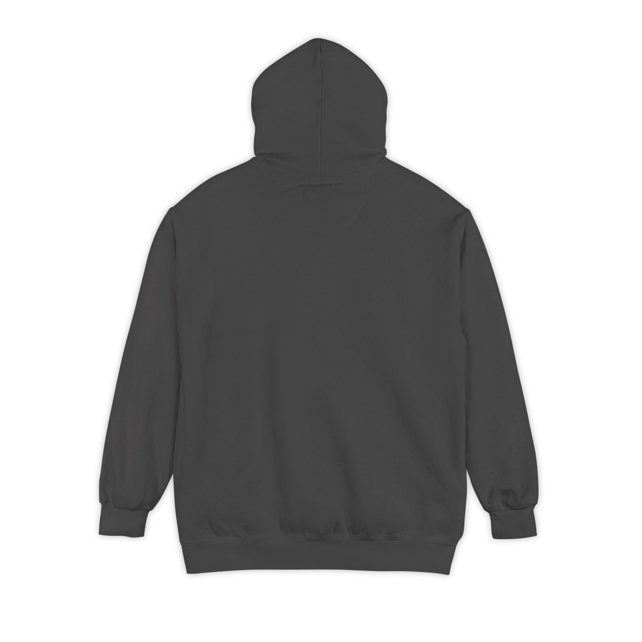 Hoodie — Red Heart "You Are Literally The Only Person I Like" Valentine Pullover