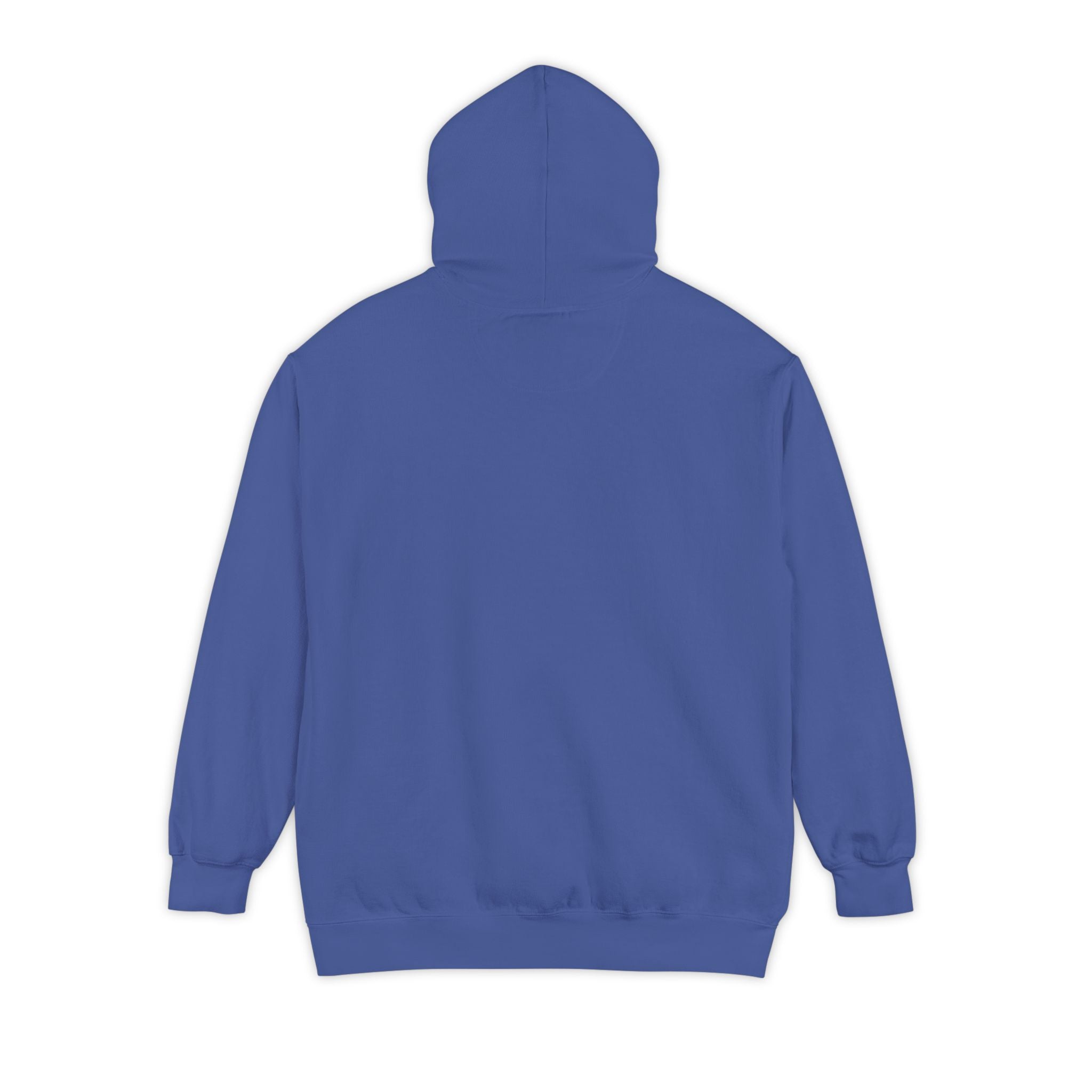 Hoodie — Red Heart "You Are Literally The Only Person I Like" Valentine Pullover